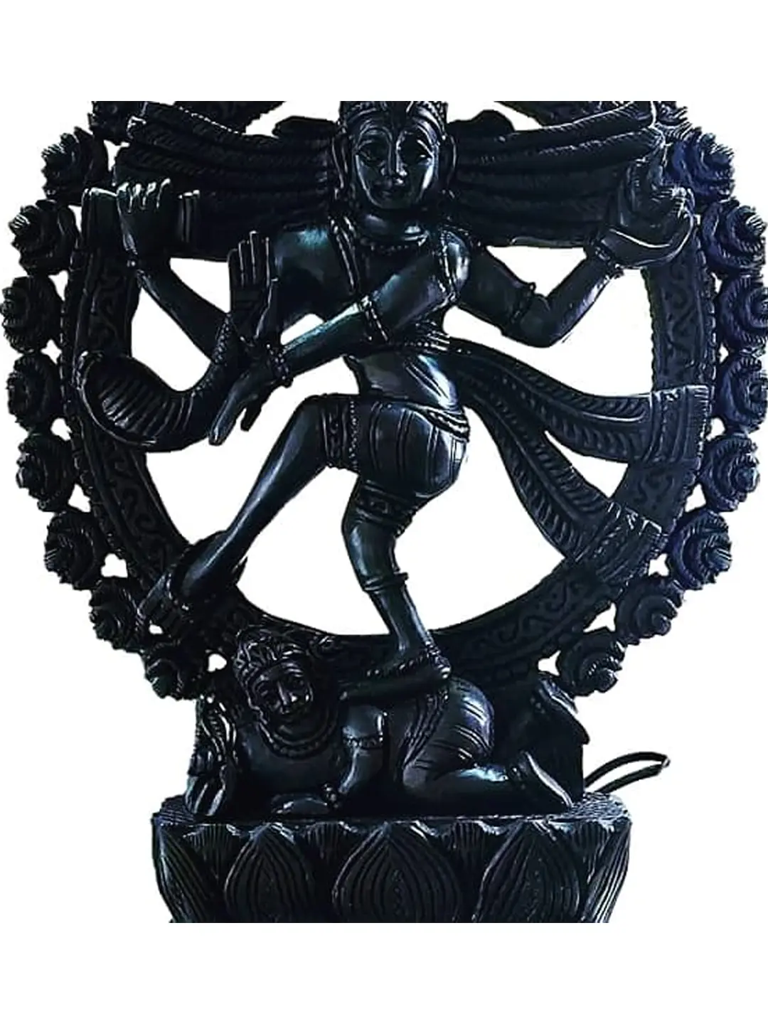 Herbal-medicine-and-remedies-shop-in-Tirupathur